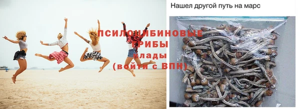 ПСИЛОЦИБИНОВЫЕ ГРИБЫ Абинск