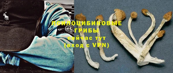 ПСИЛОЦИБИНОВЫЕ ГРИБЫ Абинск