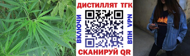 купить закладку  Весьегонск  Дистиллят ТГК THC oil 